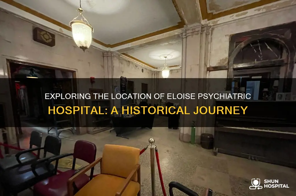 where is eloise psychiatric hospital
