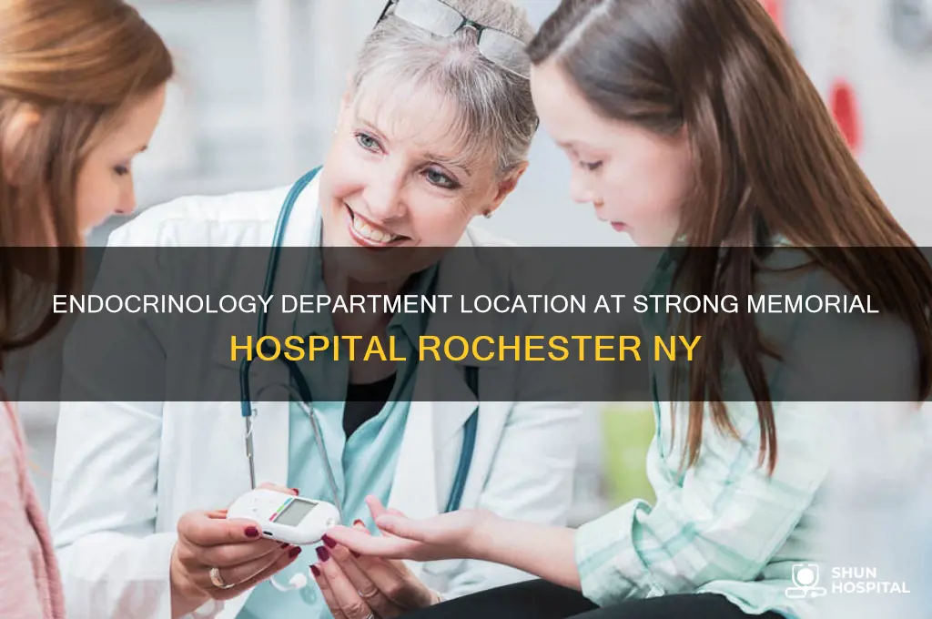 where is endocrinology department at strong hospital rochester ny
