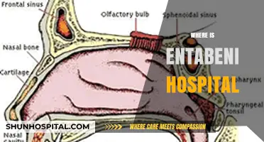 Discovering Entabeni Hospital: Location, Directions, and Accessibility Guide