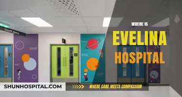 Discovering Evelina Hospital's Location: A Comprehensive Guide for Visitors