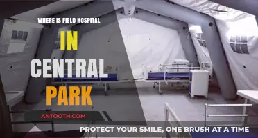 Central Park's Field Hospital Location: A Comprehensive Guide for Visitors