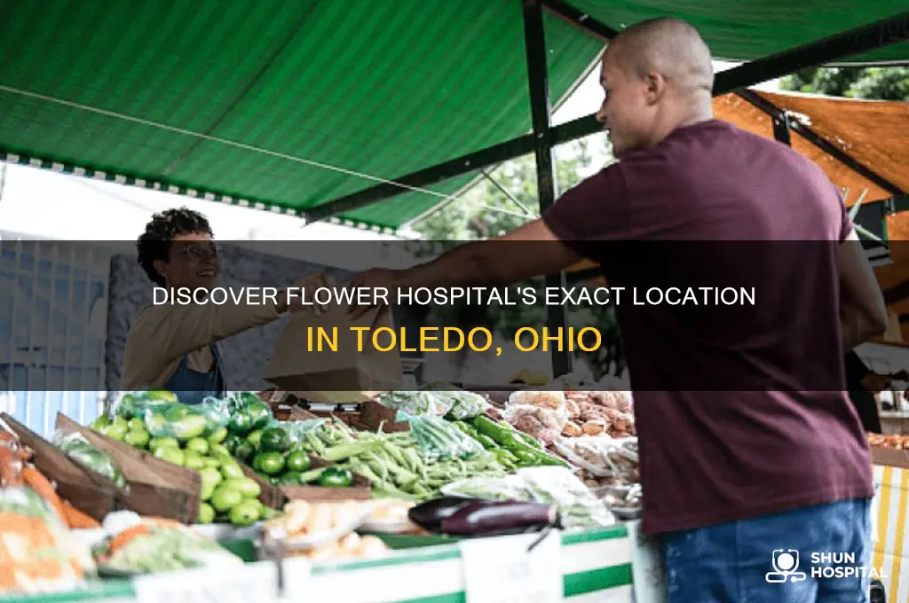 where is flower hospital in toledo ohio