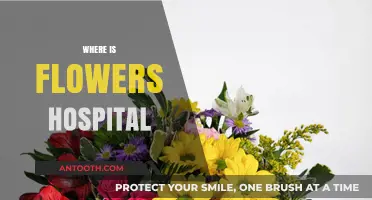 Discovering Flowers Hospital: Location, Directions, and Essential Information