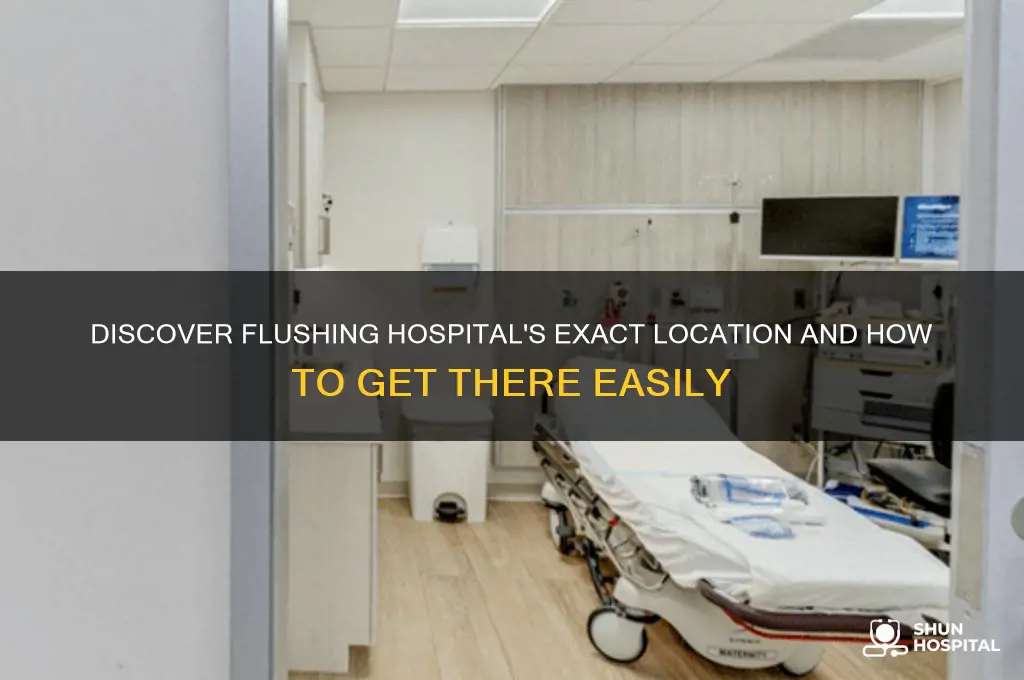 where is flushing hospital