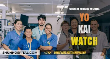 Yo-Kai Watch: Locating Fortune Hospital in the Game World