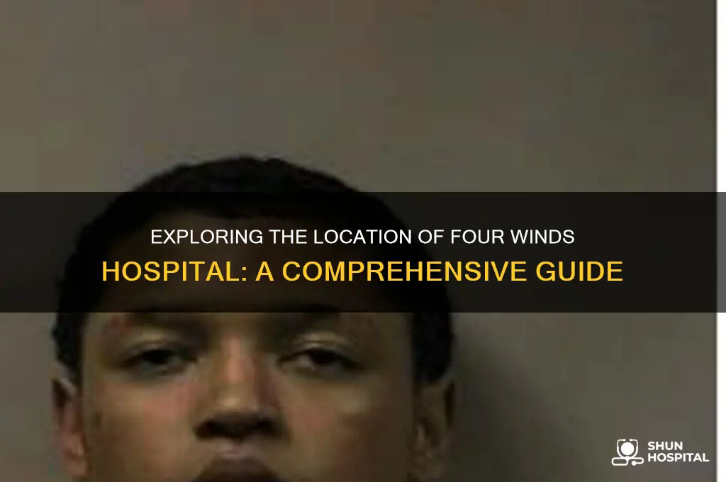where is four winds hospital