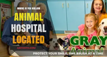 Discover the Exact Location of Fox Hollow Animal Hospital