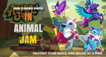 Discovering Gaberies Hospital's Location in Animal Jam: A Guide