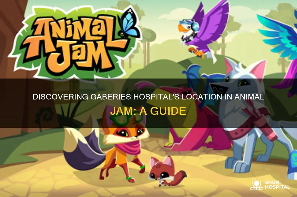 where is gaberies hospital in animal jam