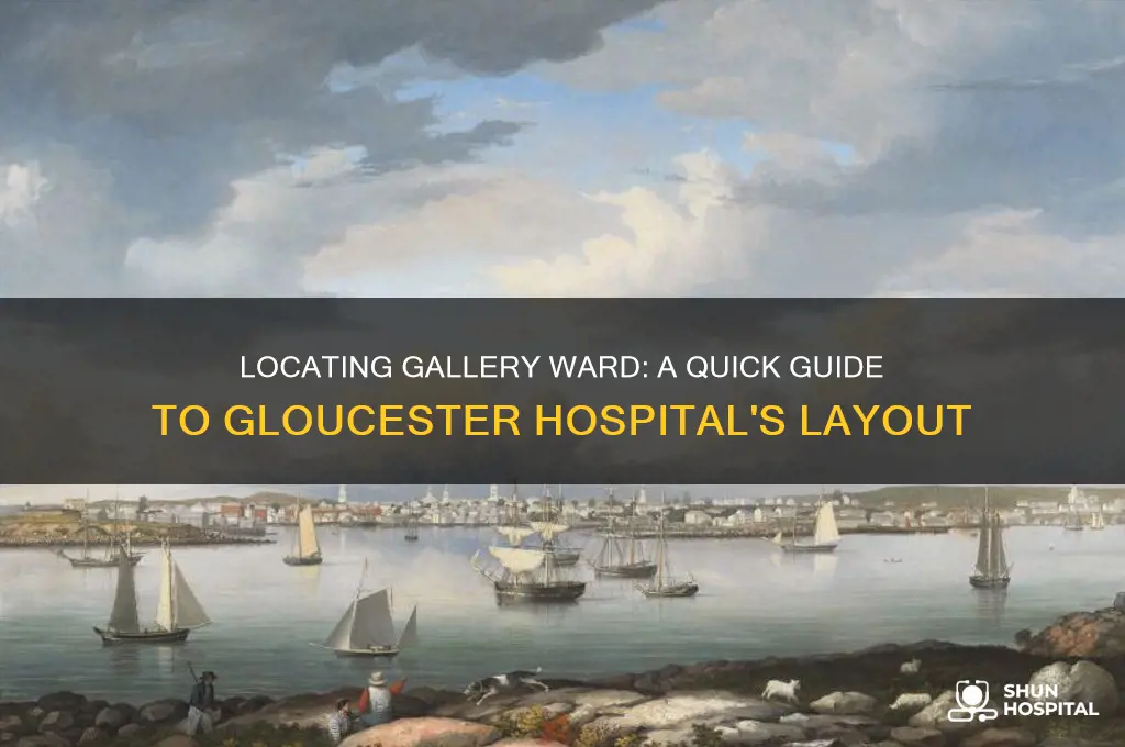 where is gallery ward in gloucester hospital