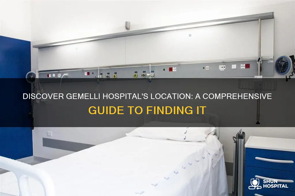 where is gemelli hospital