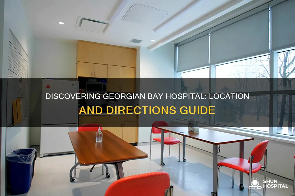 where is georgian bay hospital
