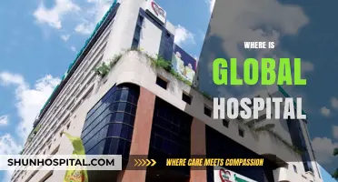 Discovering Global Hospital: Locations and Accessibility Worldwide