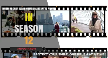 Grey's Anatomy: Unveiling Grey Sloan Memorial Hospital's Season 12 Filming Location