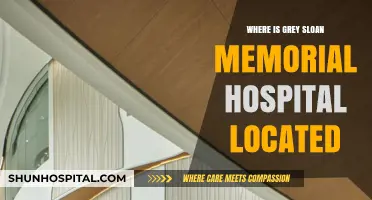 Grey Sloan Memorial Hospital: A Seattle Legacy