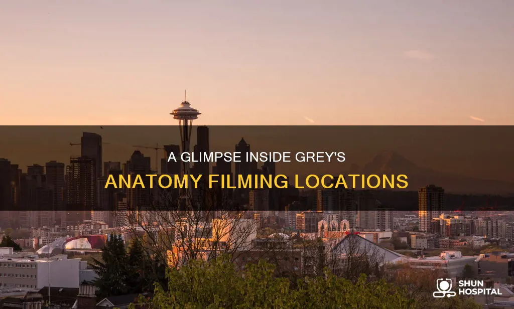where is grey