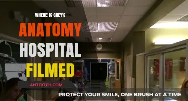 Unveiling the Real-Life Location of Grey's Anatomy's Iconic Hospital