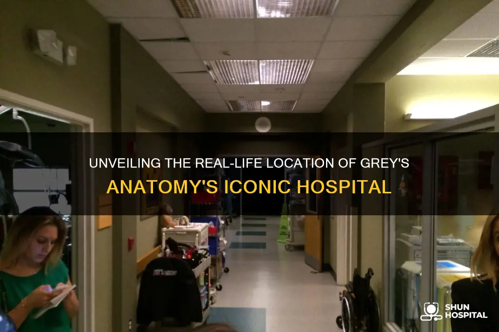 where is grey