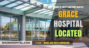 Where is Grey's Anatomy's Seattle Grace Hospital Located?