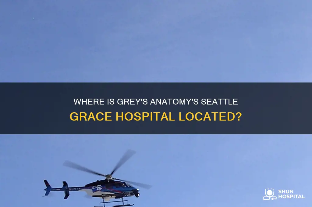 where is grey