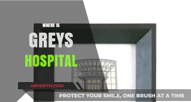 Exploring the Fictional Location of Grey Sloan Memorial Hospital