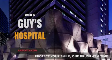 Discovering Guy's Hospital: Location, Directions, and Essential Visitor Information