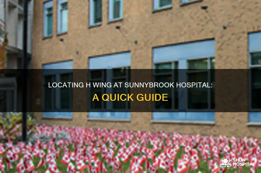 where is h wing at sunnybrook hospital