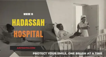 Discovering Hadassah Hospital's Location: A Comprehensive Guide for Visitors
