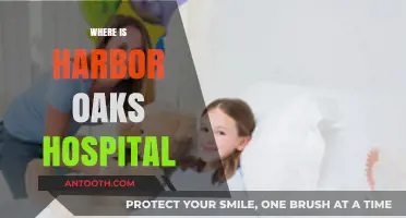 Discovering Harbor Oaks Hospital: Location and Directions Guide