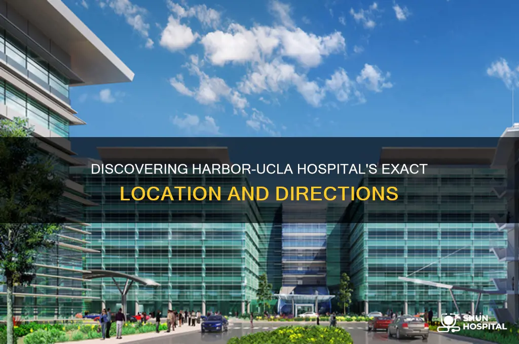 where is harbor ucla hospital