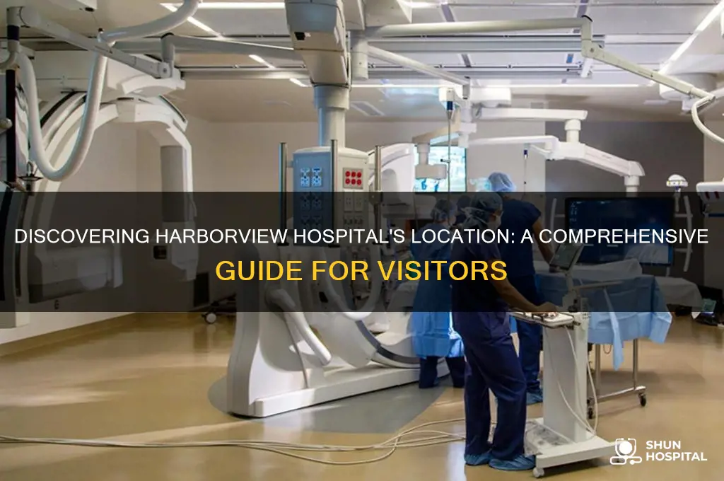 where is harborview hospital