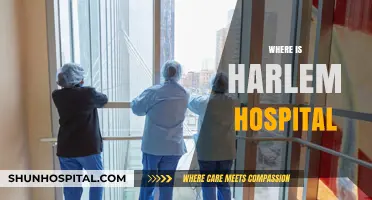 Discovering Harlem Hospital's Exact Location and Neighborhood in NYC