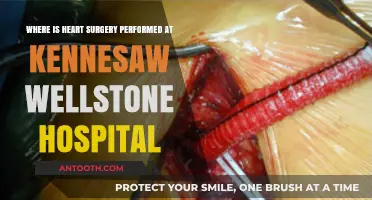Heart Surgery Location at Kennesaw Wellstone Hospital: A Comprehensive Guide