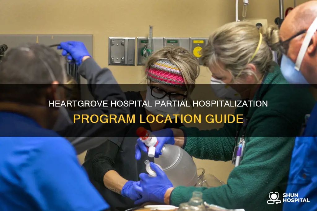 where is heartgrove hospital partial hospitalization program