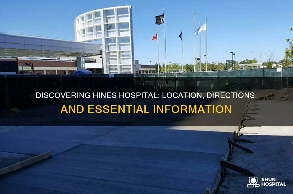 where is hines hospital
