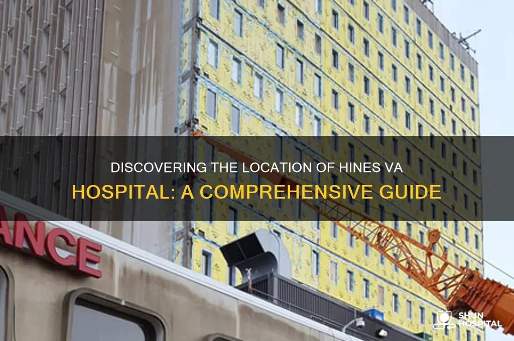 where is hines va hospital