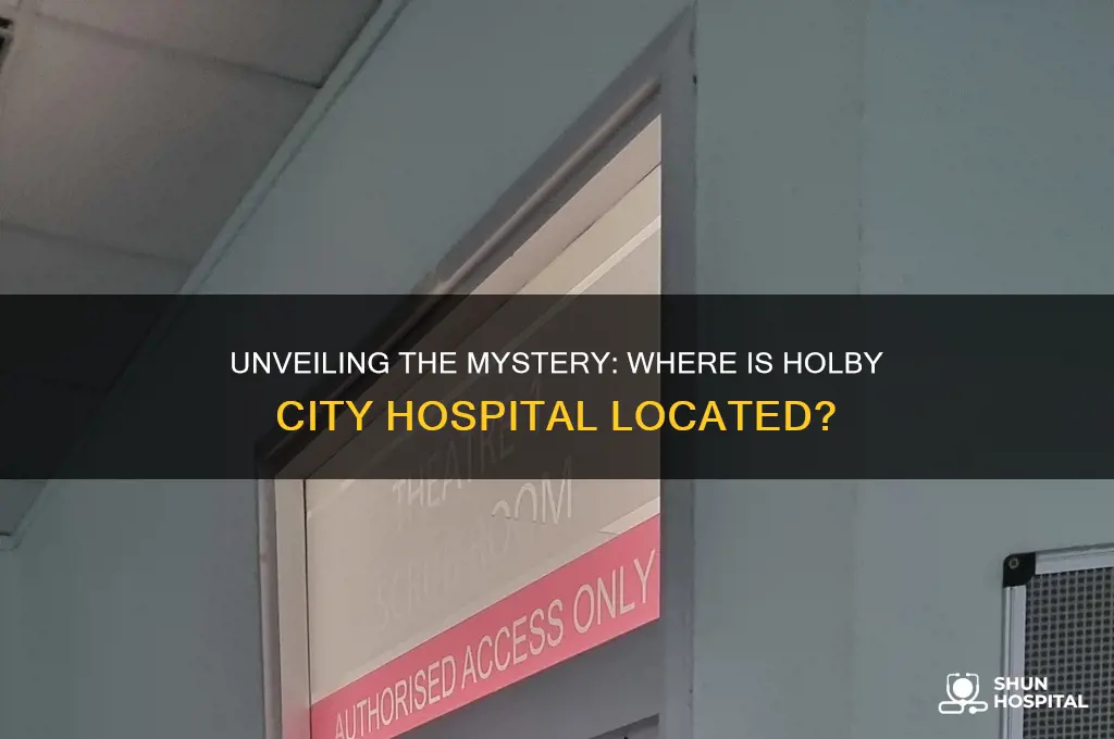 where is holby city hospital