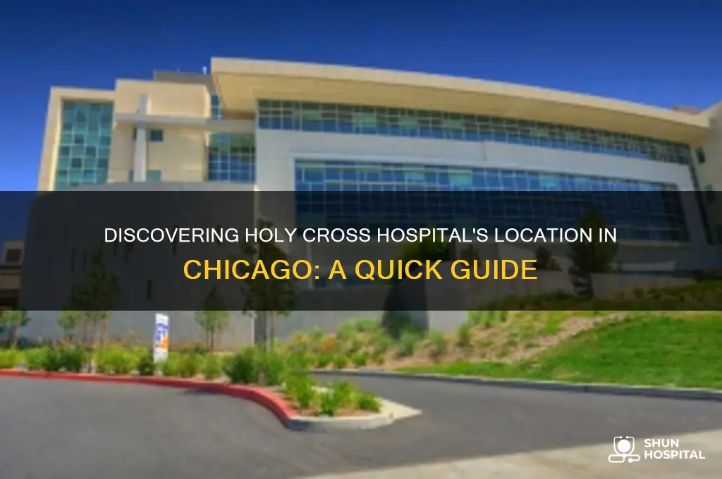 where is holy cross hospital in chicago