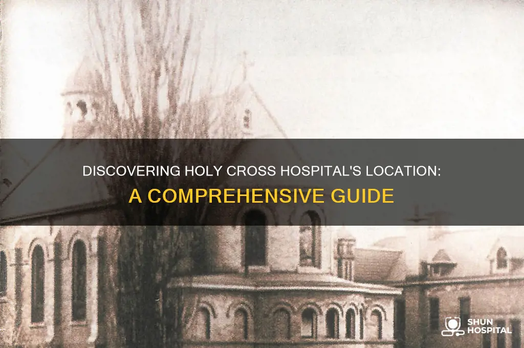 where is holy cross hospital