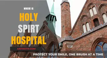 Discovering the Location of the Historic Holy Spirit Hospital