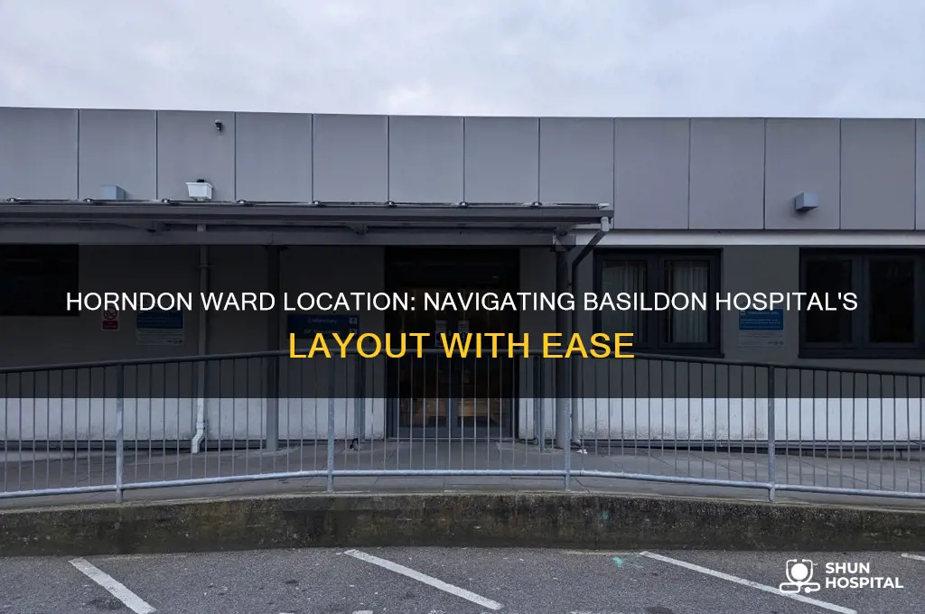 where is horndon ward in basildon hospital
