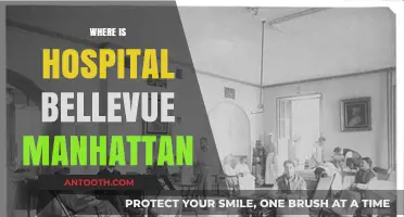 Discovering Bellevue Hospital's Exact Location in Manhattan, New York City