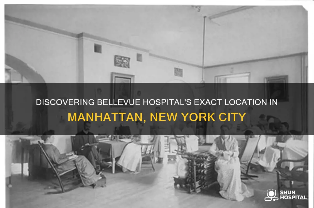 where is hospital bellevue manhattan