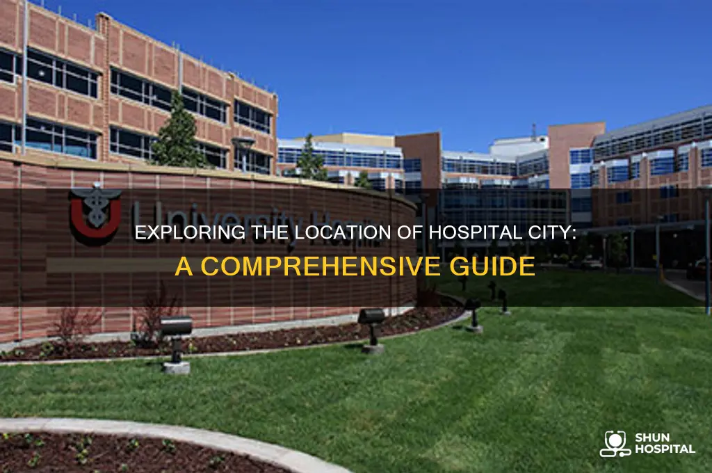 where is hospital city