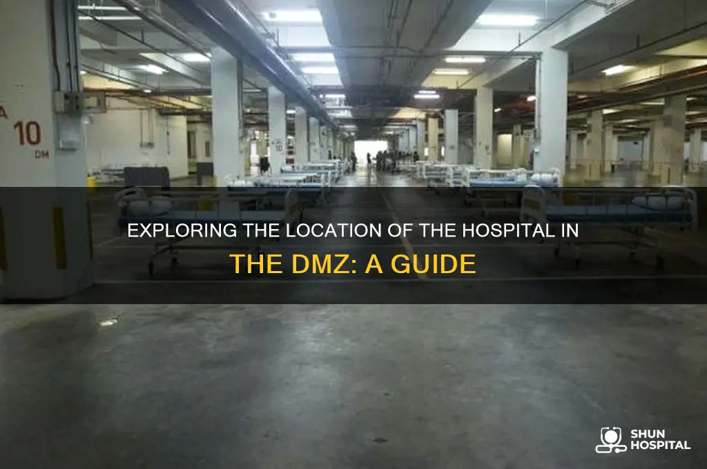 where is hospital dmz