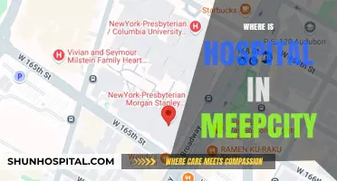 Finding the Hospital in MeepCity: A Quick and Easy Guide