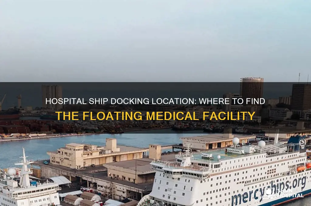 where is hospital ship docked