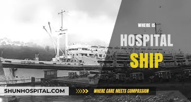 Tracking the Hospital Ship: Current Locations and Global Missions