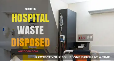 Safe Disposal of Hospital Waste: Methods, Locations, and Environmental Impact