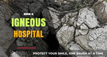 Discovering the Location of Igneous Hospital: A Comprehensive Guide